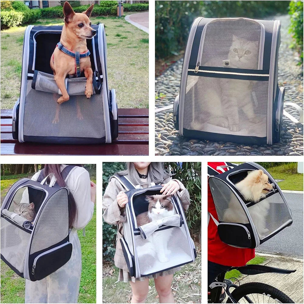 Zaino Trasportino per Gatti e Cani – Traspirante, Pieghevole e Impermeabile, fino a 8kg