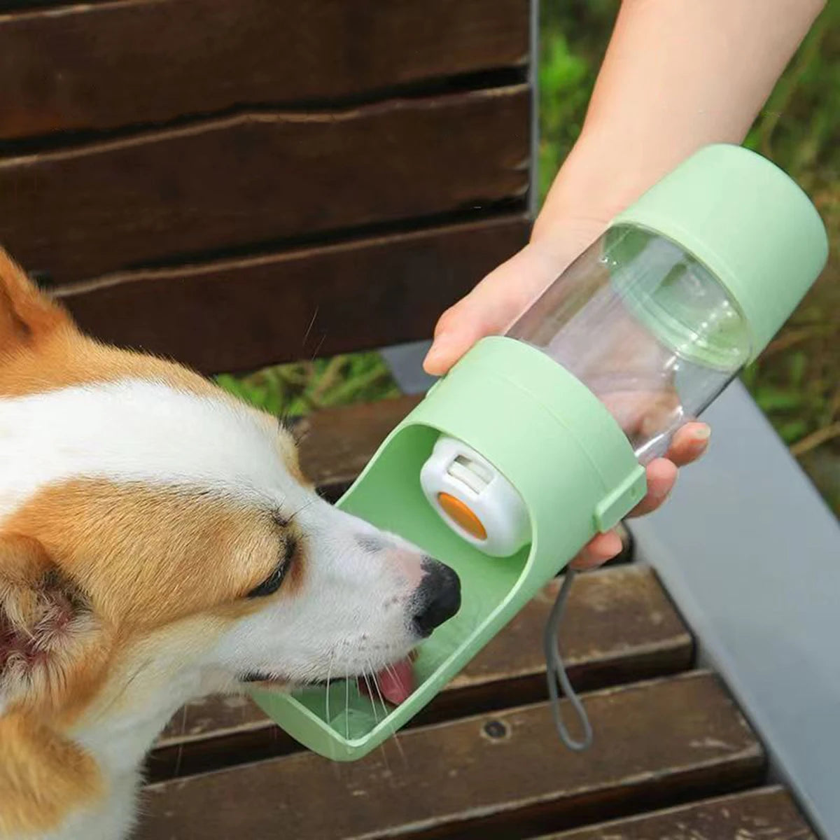 Borraccia Portatile per Cani e Gatti con Contenitore per Acqua e Cibo – 500 ml, Ciotola da Viaggio per Animali