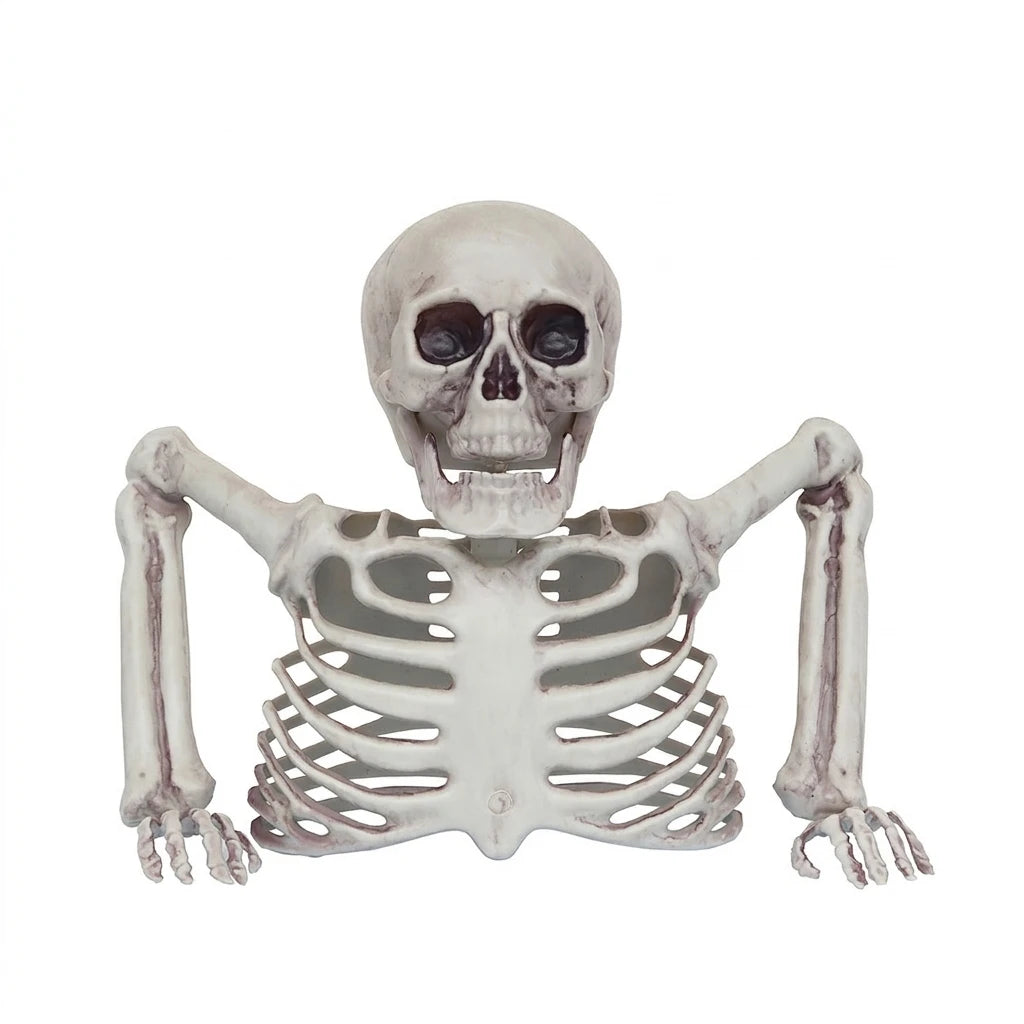 Scheletro realistico Halloween con articolazioni mobili