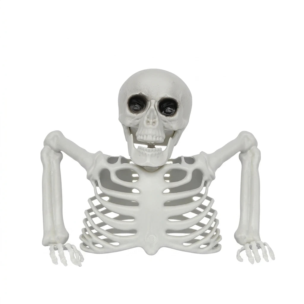 Scheletro realistico Halloween con articolazioni mobili